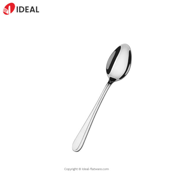 Stainless steel spoon