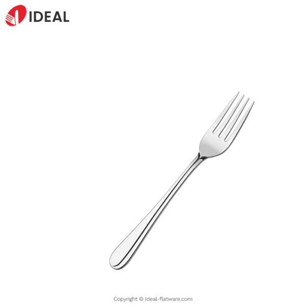 Stainless steel fork
