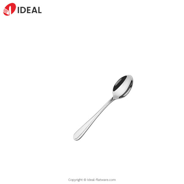 Stainless steel spoon