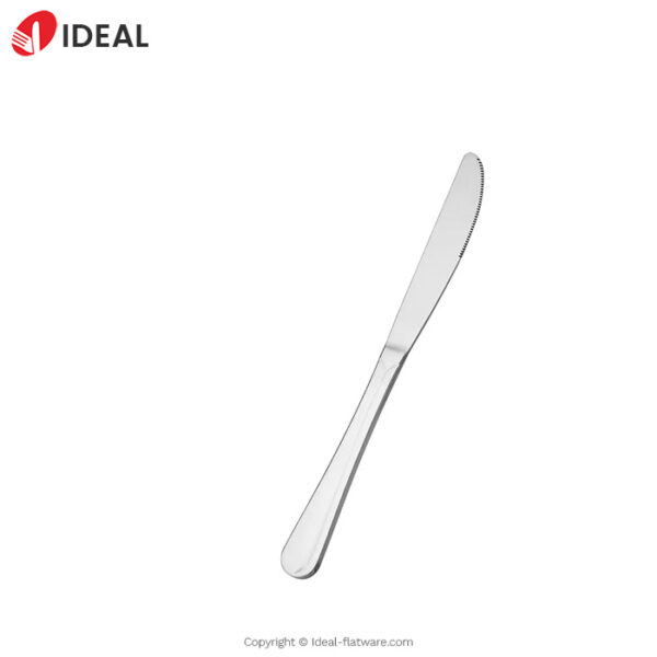 Stainless steel knife